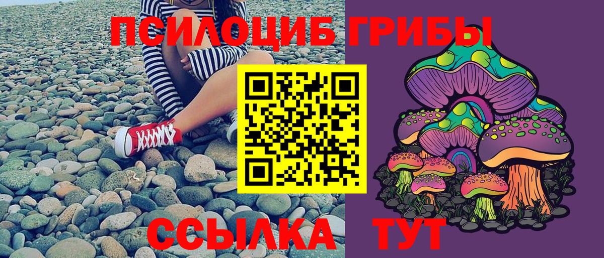 Сланцы  Галлюциногенные грибы Psilocybine cubensis  Вход с VPN 